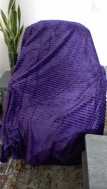 پتومسافرتی ۴فصل گرمبالا